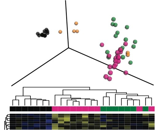The impact of early-in-life macrolide treatment on gut microbial communities and host health.